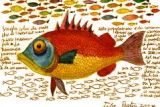Paint a fish, per una pesca sostenibile in Europa